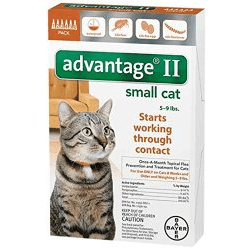 flea control for kittens