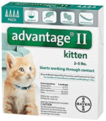 flea control for kittens