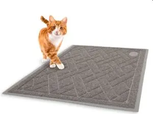 cat litter mat