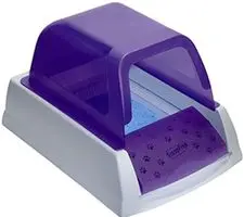 scoop free litter box