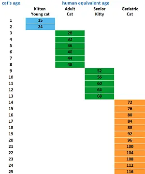 cat aging table